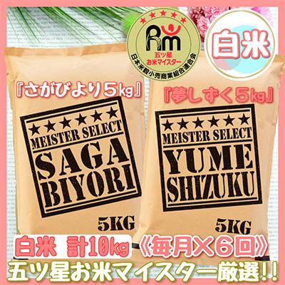 ふるさと納税 伊万里市 さがびより白米5kg・夢しずく白米5kg(計10kg)(伊万里市)全6回