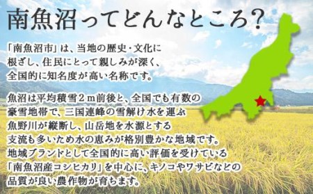 ES157 新潟県 南魚沼市 生切り餅 1kg 2個 計2kg もち モチ 黄金もち 雑煮 和菓子 やまと食品 大容量 お取り寄せ グルメ