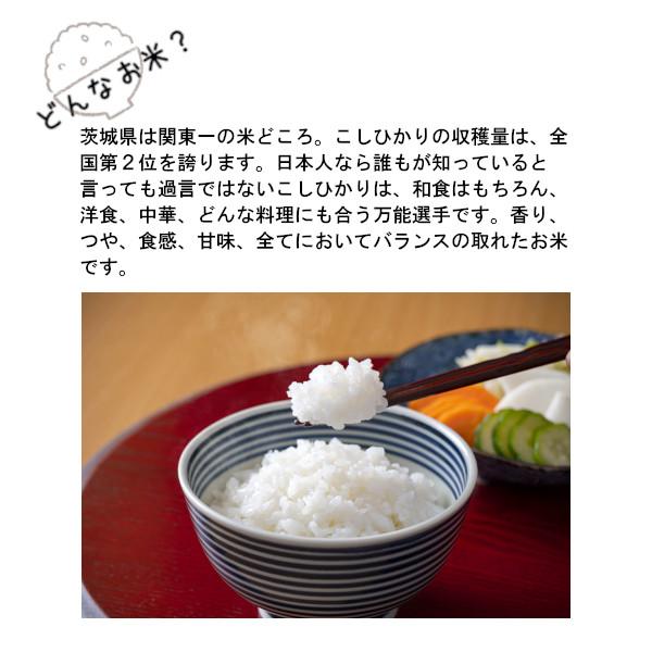 新米 令和５年産 お米 10kg 送料無料 コシヒカリ 白米 5kg×2袋 茨城県 産直 五ツ星お米マイスター厳選米