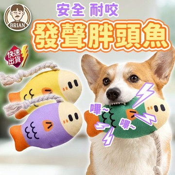 寵物發聲玩具【布萊恩👨🏻隔日到貨】耐咬磨牙玩具 魚造型玩具 潔齒玩具 磨牙玩具 狗狗玩具 耐咬玩具 寵物用品