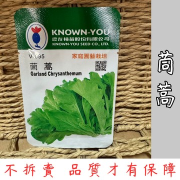 【台灣現貨-天天出】茼蒿種子 蔬菜種子 茼蒿 種子 高發芽率 易種植 家庭園藝
