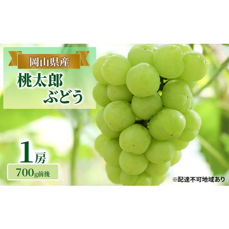 ふるさと納税 ぶどう 2024年 先行予約 桃太郎 ぶどう 1房 700g前後 ブドウ 葡萄  岡山県産 国産 フルーツ 果物 ギフト 岡山県玉野市