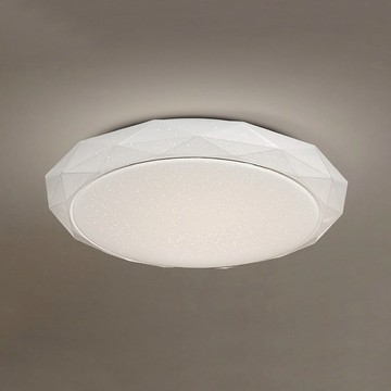 72W 單色吸頂燈 L01-2321B