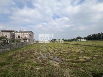 中壢大崙農地｜節稅置產推薦(3)｜桃園市中壢區山上段