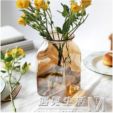 歐式玻璃大花瓶五彩色透明插花水培富貴竹百合綠蘿擺件簡約干花瓶 99購物節