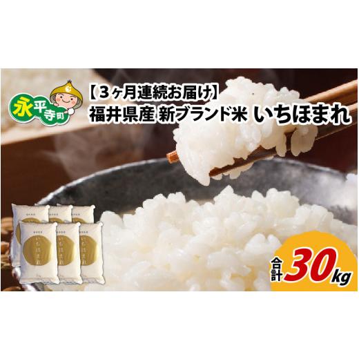 ふるさと納税 福井県 永平寺町 令和5年度産 福井県産新ブランド米 いちほまれ 10kg（5kg×2袋）×3ヶ月（計30kg） [F-002003]