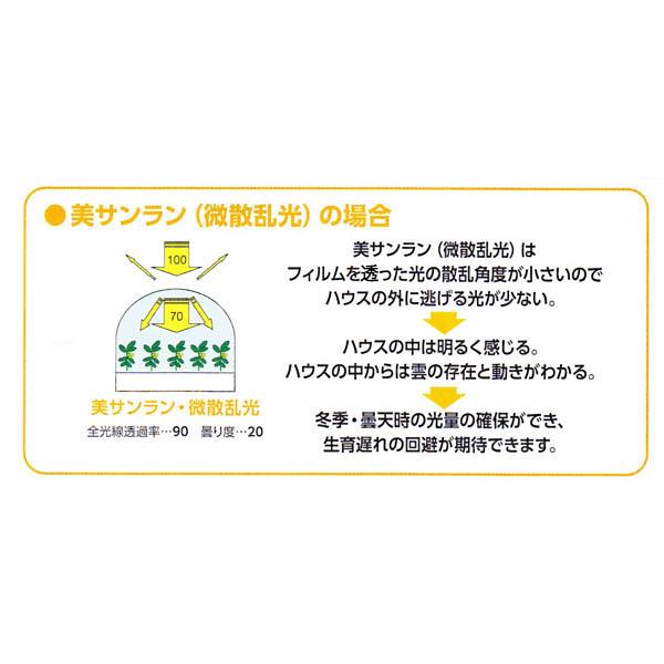 美サンランイースター 耐久塗布無滴散乱光 農POフィルム 価格はm単価です ご希望の長さ を数量欄に入力してください