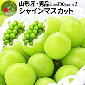 ただ今、お届け中! 山形県産 秀品 シャインマスカット 2房（1房約700g前後） 化粧箱入 産地直送 敬老の日 ギフト お年賀 同梱不可 熨斗Ｏ