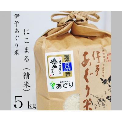 ふるさと納税 松前町 ★令和5年産発送★　伊予あぐり米「にこまる」(精米5kg)