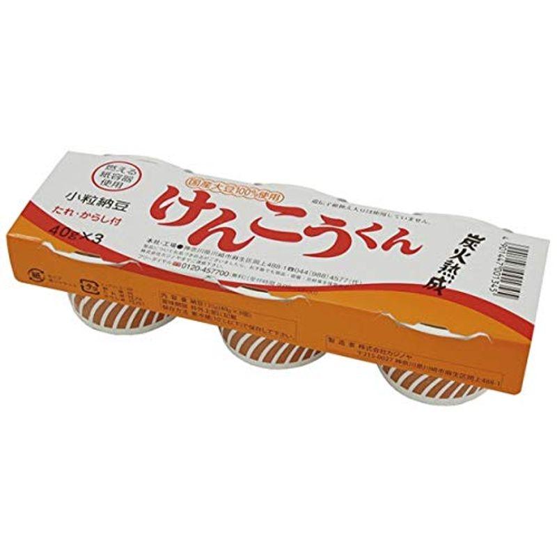 カジノヤ 小粒納豆 けんこうくん ４０ｇ×３ 16個