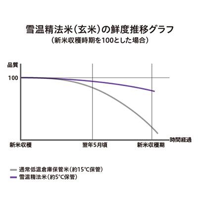 ふるさと納税 新潟県 雪温精法　新潟県産つきあかり2kg×2袋全6回