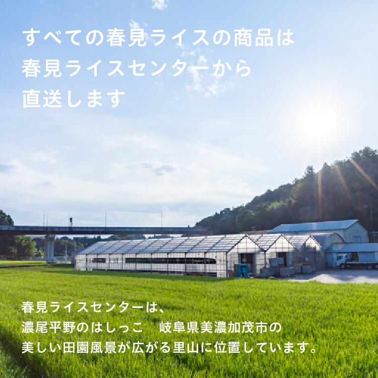 お米 白米 岐阜県産ハツシモ10kg 春見ライスのお米 送料無料 清流