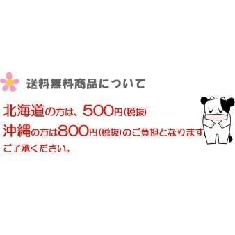 送料無料 キッコーマン 豆乳仕立てスープ 500ml 選べる2ケース(24本) コーンスープ   かぼちゃスープ