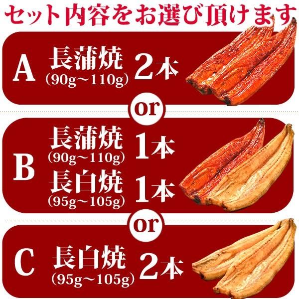 お歳暮 ギフト 2023 うなぎ 国産 プレゼント 土用の丑の日 蒲焼き 食べ物 送料無料 誕生日 ウナギ 鰻 2本 お年賀 御歳暮 御年賀 簡易箱 Gset03 1〜2人用 AA