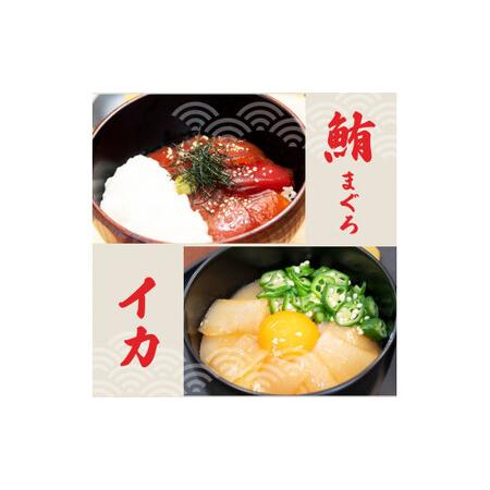 ふるさと納税 訳あり海鮮漬け丼（5種×各1P）セット　漬け丼 まぐろ イカ ぶり 鯛 タイ カツオのタタキ 鰹タタキ 食べ比べ 海鮮 魚 冷凍 食.. 高知県土佐市