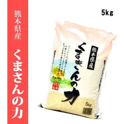 令和４年産米　熊本県産くまさんの力　白米5kg　