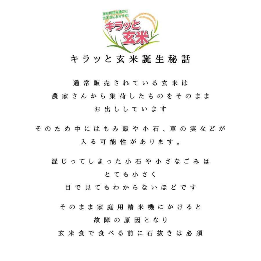 新米 玄米 30kg 令和5年産 茨城県産コシヒカリ 30kg(30kg×1袋) 送料無料 米 30kg キラッと玄米