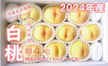 岡山県産 白桃（晩生種） 最高ランク！ロイヤル約4kg 8～15玉（令和６年8月以降発送）