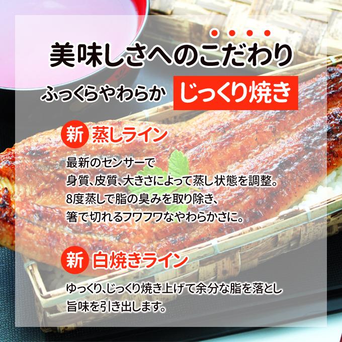 鹿児島産 新 超特大 国産 うなぎ蒲焼き 約250g1尾 送料無料 海鮮 プレゼント グルメ ギフト