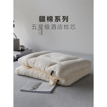 A類枕頭枕芯護頸椎助睡眠蕎麥殼軟低枕硬中枕男側睡高枕一對家用