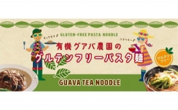 有機グアバ農園のグルテンフリーパスタ麺 100g×3袋セット