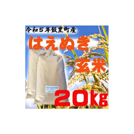 ふるさと納税 山形県 飯豊町 はえぬき　玄米20kg（令和5年山形県飯豊町産）