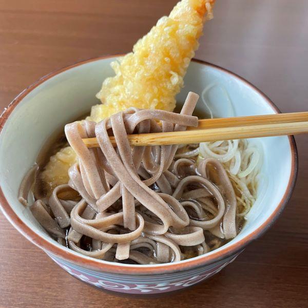 そば 蕎麦 乾麺 信州 黒い太切り蕎麦 220g×4袋 麺匠からきだ