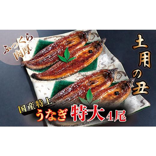 ふるさと納税 福井県 越前市 国産！特上うなぎのかば焼き 約250g × 4尾