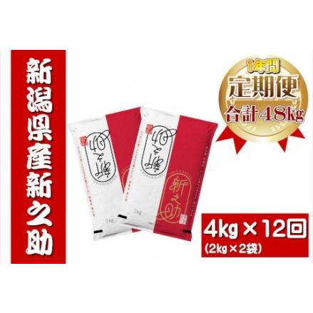 ふるさと納税 12ヶ月定期便 新之助 4kg×12回 計48kg 白米 精米 井上米穀店 新米は11月上旬以降発送 1I08096 新潟県阿賀野市