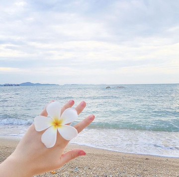 日韓清新海邊沙灘度假拍照款花朵雞蛋花發夾邊夾頭飾發飾頭花飾品