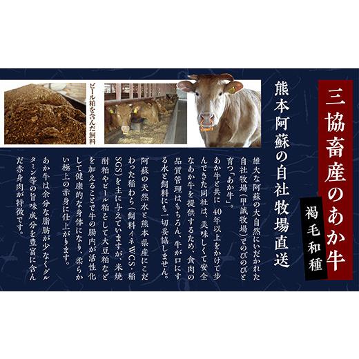 ふるさと納税 熊本県 多良木町  熊本和牛 あか牛 ぎょうざ セット ＜熊本あか牛餃子20個入り×2箱＞【 熊本県 和牛 あか牛 冷凍 生餃子 ぎょうざ おか…