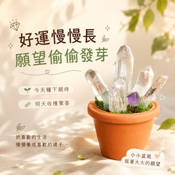 生日快樂🧡快速出貨【COZY PLUS+】創意水晶原石盆栽#CP0224 送木頭片底座 JUN04 水晶  招財樹 許願樹 禮物 生日禮物 聖誕節禮物 交換禮  畢業禮物