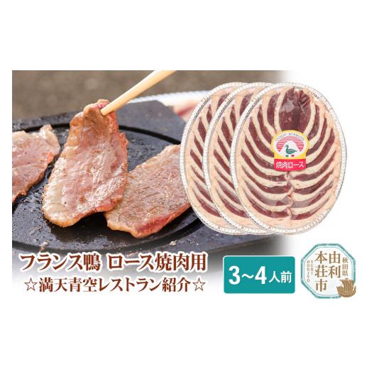 ふるさと納税 秋田県 由利本荘市 国産 フランス鴨 ロース焼き肉・しゃぶしゃぶ用 200g×3パック