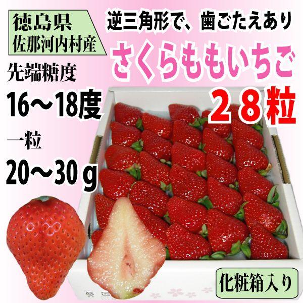 いちご さくらももいちご イチゴ 苺 28粒 化粧箱入り 送料無料 12〜4月にお届け