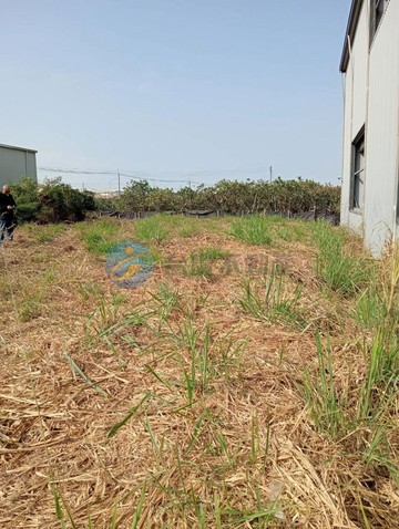 麻豆10米路方正都計農｜台南市麻豆區太子宅段