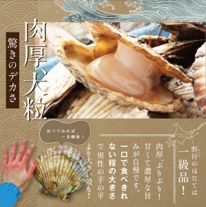 北海道 野付産 漁協直送 冷凍ホタテ 貝柱 特大ホタテ500ｇ  （ ほたて ホタテ 帆立 貝柱 北海道 野付 人気 ふるさと納税 ）