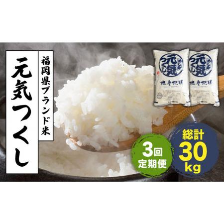 ふるさと納税 元気つくし 米 10kg 5kg×2袋＜南国フルーツ株式会社＞那珂川市 定期便 米 お米 精米 白米 [GCD034] 福岡県那珂川市