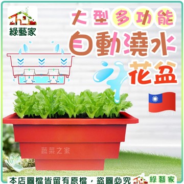 綠藝家】大型多功能自動澆水花盆(專利設計)含內襯-磚紅色