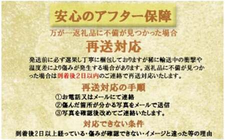 岡山県産シャインマスカット晴王　大房２房