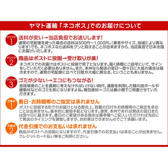 送料無料 森で育ったお米 新潟米コシヒカリ お試し 300g 2合 無洗米 棚田米 プレミアム米 新潟産 ポイント消化