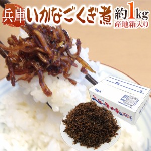 2023年新物！兵庫産 ”いかなご釘煮” 新子 約1kg 産地箱入り 送料無料