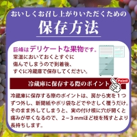 紀州有田産の巨峰ぶどう約３kg