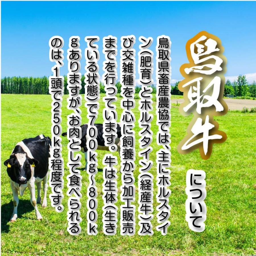 牛肉 ステーキ 国産 鳥取牛 ロースステーキ 600g (200g 3枚入) 鉄板焼き BQQ バーベキュー 鳥取県産 ギフト