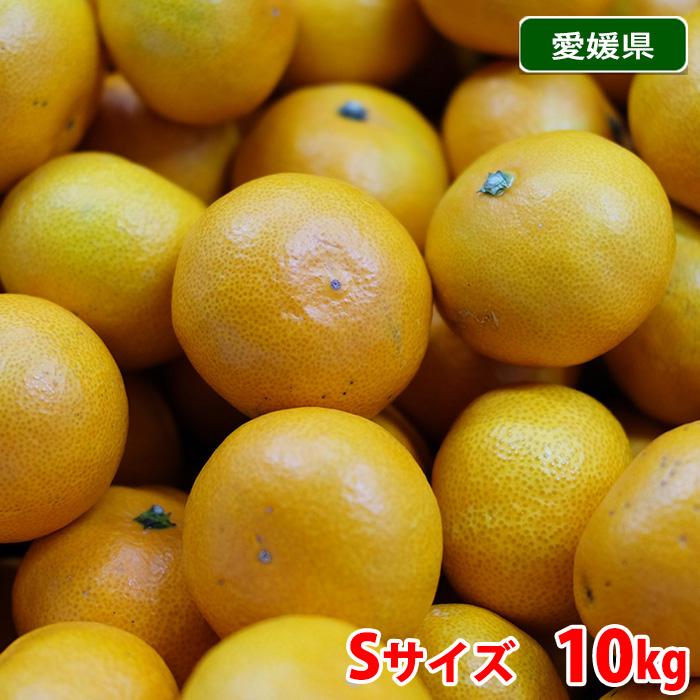 愛媛県産　みかん　優品　Sサイズ　10kg （箱） 国産 フルーツ