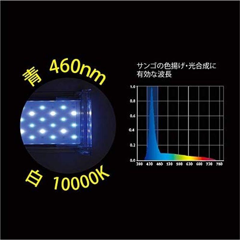 送料無料（北海道沖縄除く）ゼンスイ ナノレビル ホワイト 90cm水槽用水草育成特化型LED照明