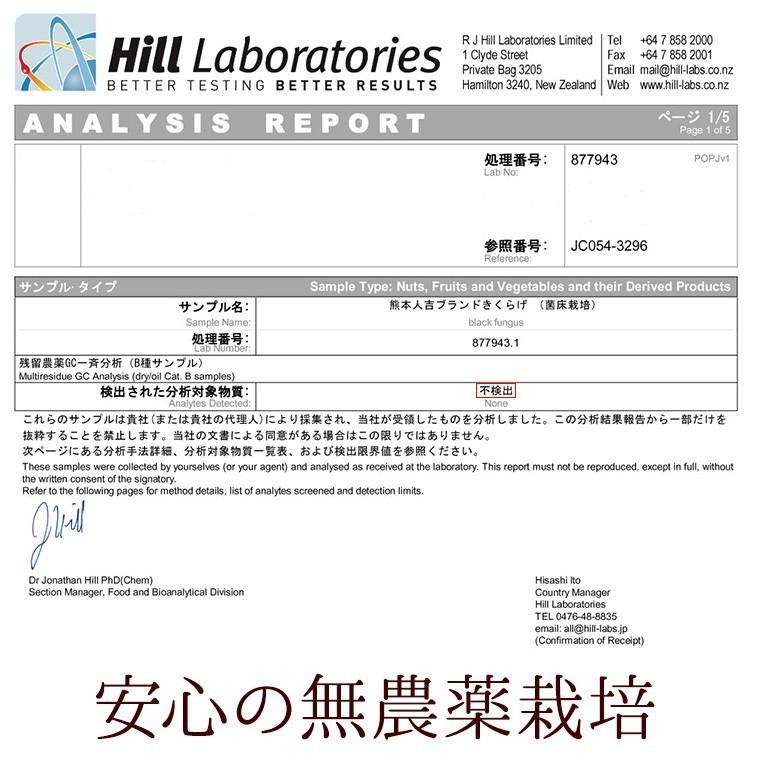 こぶりなきくらげ 55ｇ 熊本県人吉産 乾燥 きくらげ 国産 ミニ ホール みみなば 送料無料 こぶりなきくらげ あらげきくらげ 熊本 人吉