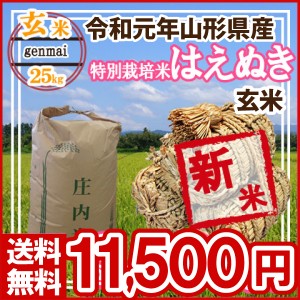 令和5年 山形県産 特別栽培米 はえぬき 玄米 25kg(5kg×5)（送料無料）