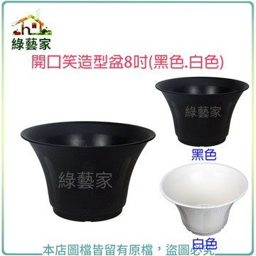 【綠藝家】開口笑多肉專用造型盆8吋(黑色、白色共2色可選)