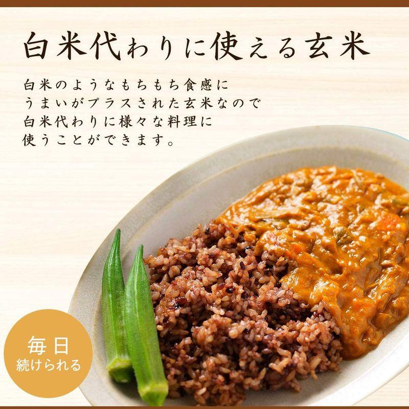 すっきり玄米生活 玄米パックごはん 160ｇ 12パック入り ごはんパック ご飯パック 糀入りもちもち玄米 レトルトパック もち麦 黒米