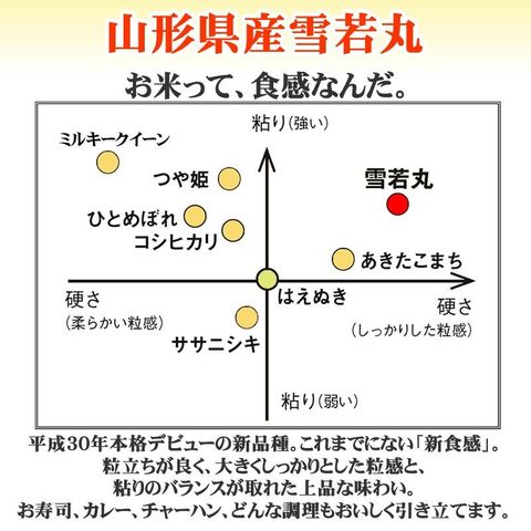 新米 米 お米 おこめ 令和5年産  雪若丸 玄米20kg 10kg袋×2  (無洗米に精米後9kg×2袋 )山形県産 白米・無洗米・分づきにお好み精米 送料無料 当日精米